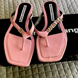 Alexander Wang sandals